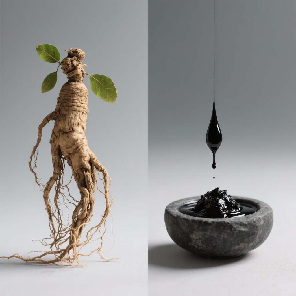 Ginseng vs. Shilajit : Quel adaptogène pour renforcer vos défenses ?