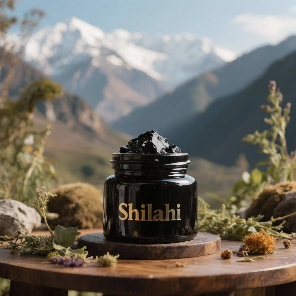 Shilajit : Le trésor de la nature pour votre bien-être