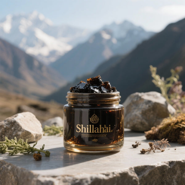 Shilajit : Le Trésor de la Nature pour Votre Santé