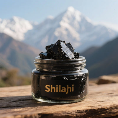 Le Guide Complet du Shilajit Himalayen