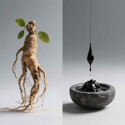 Ginseng vs. Shilajit : Quel adaptogène pour renforcer vos défenses ?