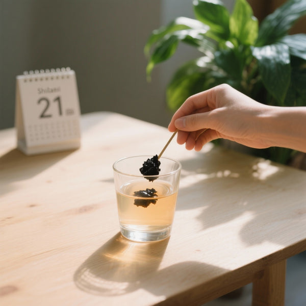 Protocole de Purification au Shilajit en 21 Jours