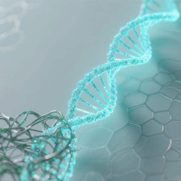Qu'est-ce que le Vieillissement Biologique et Comment le Ralentir Naturellement ?