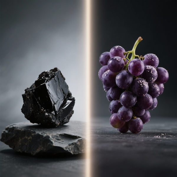 Shilajit vs. Resvératrol : Le match des antioxydants pour la longévité