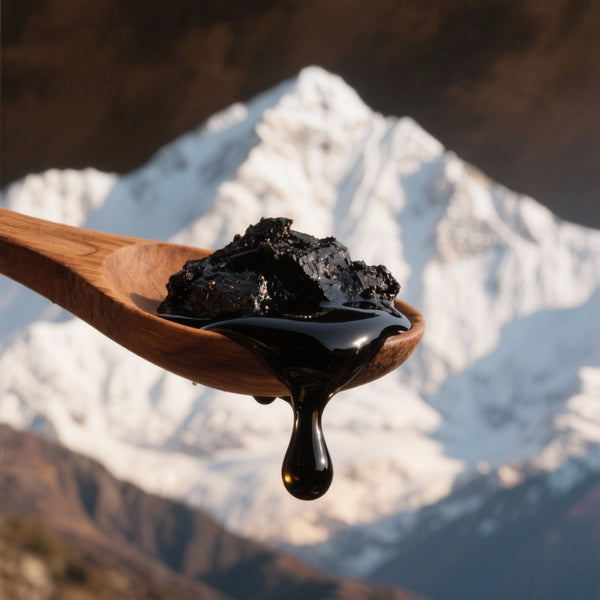 Shilajit : L'histoire du 'Conquérant des Montagnes'