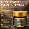 Purlema Shilajit – Résine Pure de l’Himalaya | Énergie, Clarté Mentale & Vitalité Naturelle