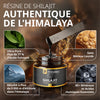 Purlema Shilajit – Résine Pure de l’Himalaya | Énergie, Clarté Mentale & Vitalité Naturelle